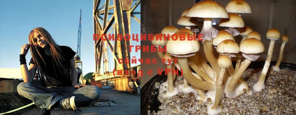 альфа пвп Волоколамск