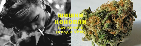 гидра Бугульма